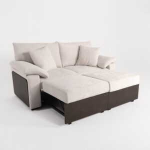 Cottonfy Luxurious Soild Wood Versatile 2-Seater Pull Out Sofa Bed