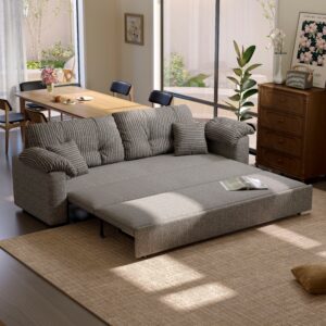 Cottonfy Multifunctional Sleeper Pull Out 2 Seater Sofa Bed with Storage Space