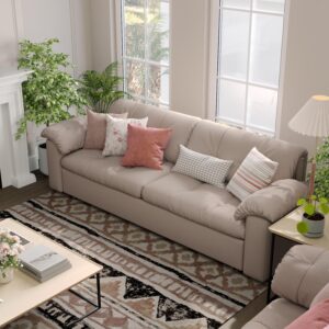 Cottonfy Multifunctional Sleeper Pull Out 2 Seater Sofa Bed with Storage Space