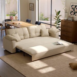 Cottonfy Multifunctional Sleeper Pull Out 2 Seater Sofa Bed with Storage Space